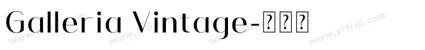 Galleria Vintage字体转换